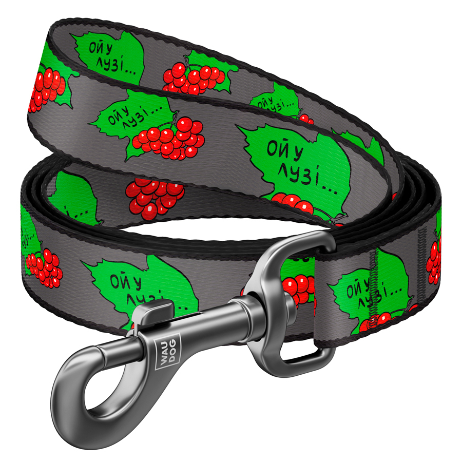 Амуніція - Collar WAUDOG Nylon Повідець для собак "Калина"