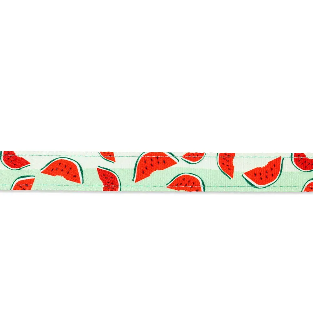 Амуніція - Max & Molly Urban Pets Short Leash Watermelon Повідець для собак