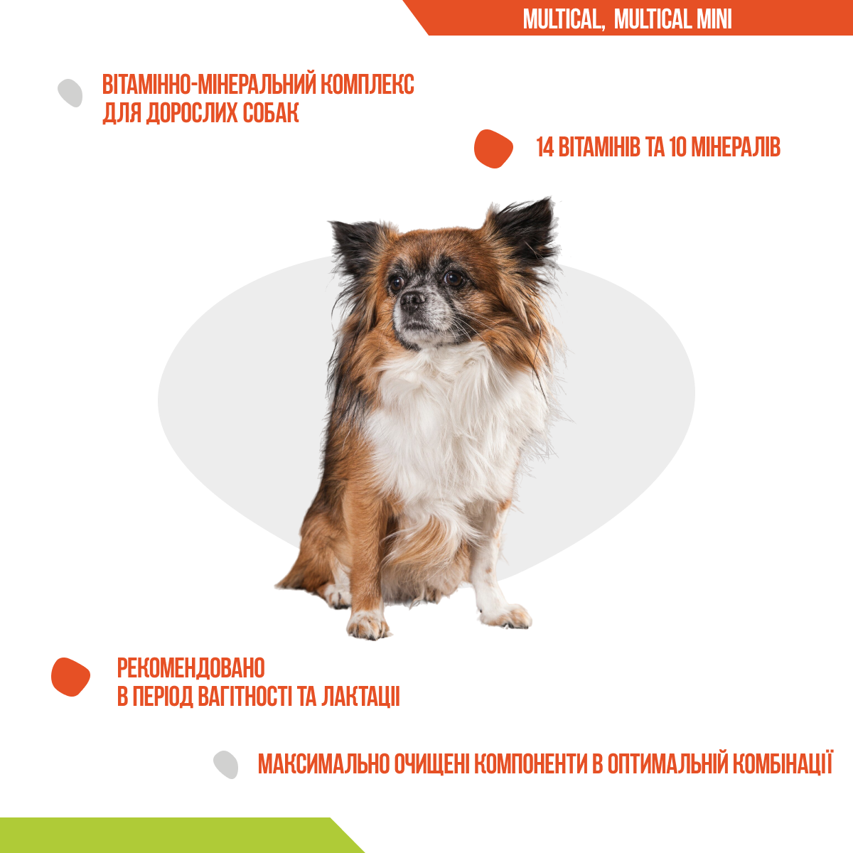 Вітаміни - Dolfos Multical mini - вітамінно-мінеральний комплекс для собак