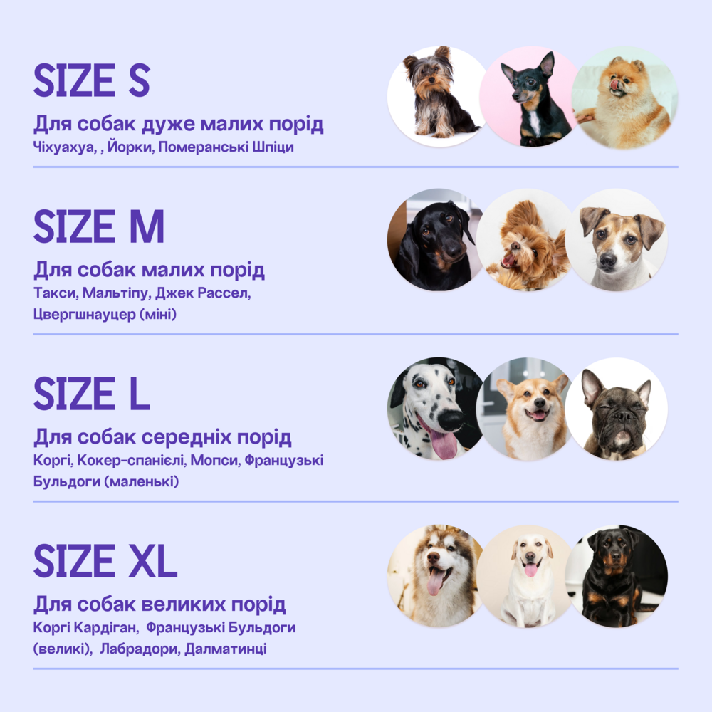 Прогулянки - Hat-Dog Панама з бавовни для собак, синя