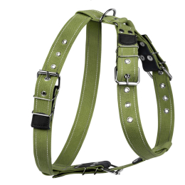 Купити Collar Шлея для собак з бавовняної стрічки