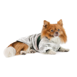 Купити Pet Fashion Bony Куртка для собак
