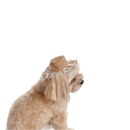 Купити Pet Fashion Print Панама для собак