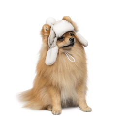 Купити Pet Fashion Bubo Шапка для собак, сіра