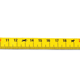 Купити Max & Molly Urban Pets Short Leash Ruler Повідець для собак