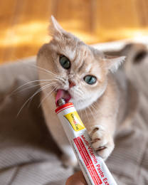 Купити GimCat Multi-Vitamin Paste Extra Мультивітамінна паста для котів
