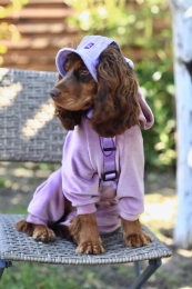 Купити Hat-Dog Панама з вельвету для собак, лавандова
