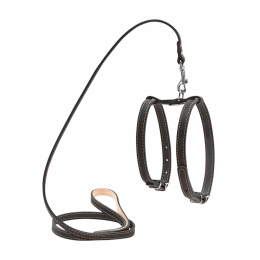 Купити Collar Шлея з повідцем для собак, чорна