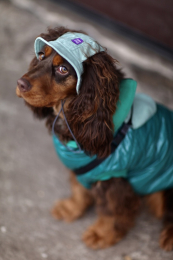 Купити Hat-Dog Панама з вельвету для собак, оливкова