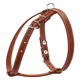 Купити Collar Шлея одинарна для собак, коричнева