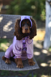 Купити Hat-Dog Панама з вельвету для собак, лавандова