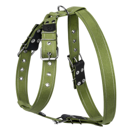 Купити Collar Шлея для собак з бавовняної стрічки