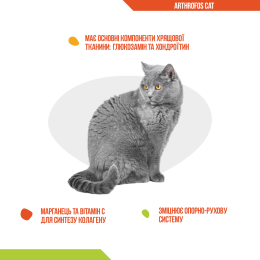 Купити Dolfos ArthroFos Cat - таблетки для опорно-рухової системи котів