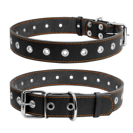Купити Collar Нашийник для собак безрозмірний, чорний