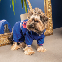 Купити Pet Fashion Дощовик «Silver» для собак, синій