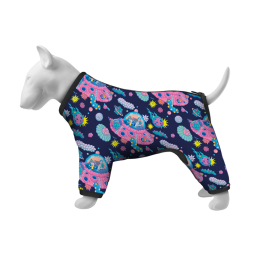 Купити Collar Waudog Clothes Дощовик "Рік та Морті 1" для собак