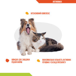 Купити Dolfos ArthroMax dogs & cats Добавка у вигляді легкозасвоюваного сиропу для собак і котів