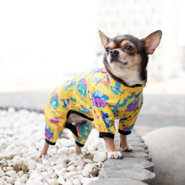 Купити Collar Waudog Clothes Дощовик "Рік та Морті 3" для собак