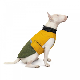 Купити Pet Fashion Попона «Roy» для собак, хакі-гірчиця