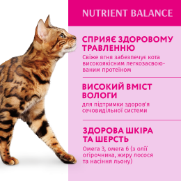Вологий корм - Набір "Вологий корм для котів з ягням та овочами в желе" ( 3 + 1 )