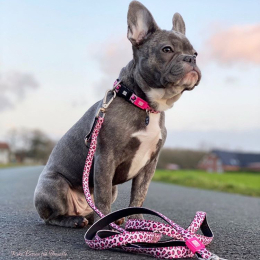 Купити Max & Molly Urban Pets Multi-Function Leash Leopard Pink Повідець для собак