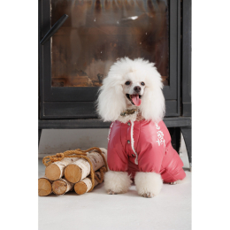 Купити Pet Fashion Cherry Комбінезон для собак-дівчаток