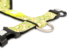 Купити Max & Molly Urban Pets H-Harness Kiwi Шлея для собак (поліестер)