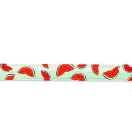 Купити Max & Molly Urban Pets Short Leash Watermelon Повідець для собак