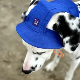 Купити Hat-Dog Панама з бавовни для собак, синя