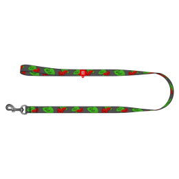 Купити Collar WAUDOG Nylon Повідець для собак "Калина"