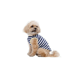 Купити Pet Fashion Tropic Майка для собак