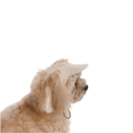 Купити Pet Fashion Glamor Кепка для собак