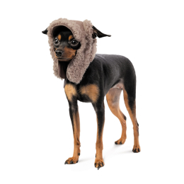 Купити Pet Fashion Valley Шапка для собак