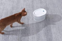 Купити Uahpet Pet Glow Wireless Fountain Автономна поїлка - фонтан