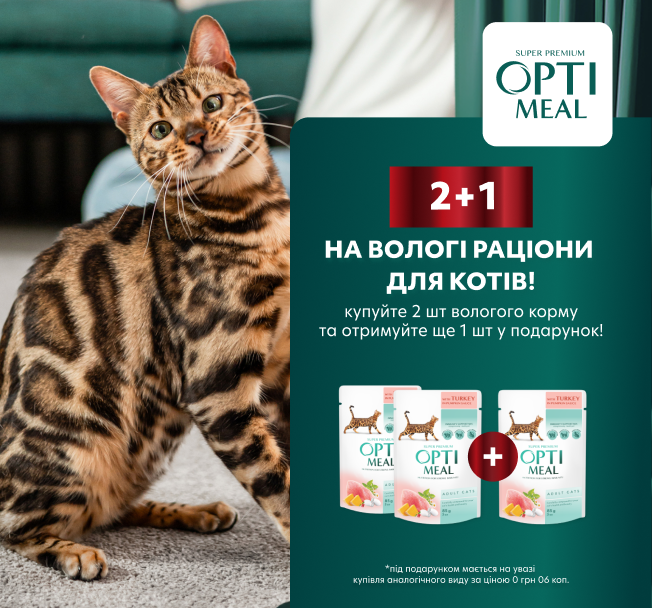 Даруємо вологий корм для котів!