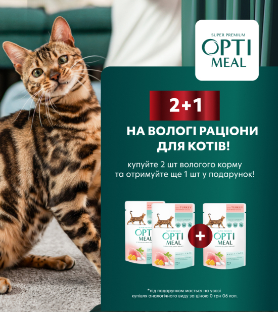 Даруємо вологий корм для котів!